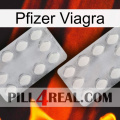 Pfizer Viagra 17